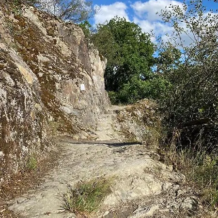 Bauernschmause 公寓 *