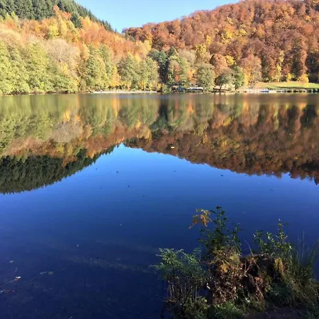 Bauernschmause 公寓 Polch